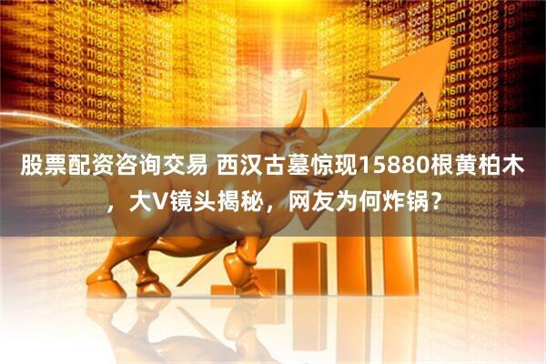 股票配资咨询交易 西汉古墓惊现15880根黄柏木，大V镜头揭秘，网友为何炸锅？