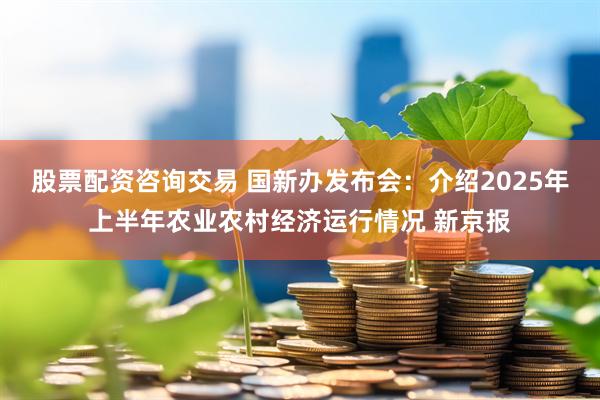 股票配资咨询交易 国新办发布会：介绍2025年上半年农业农村经济运行情况 新京报